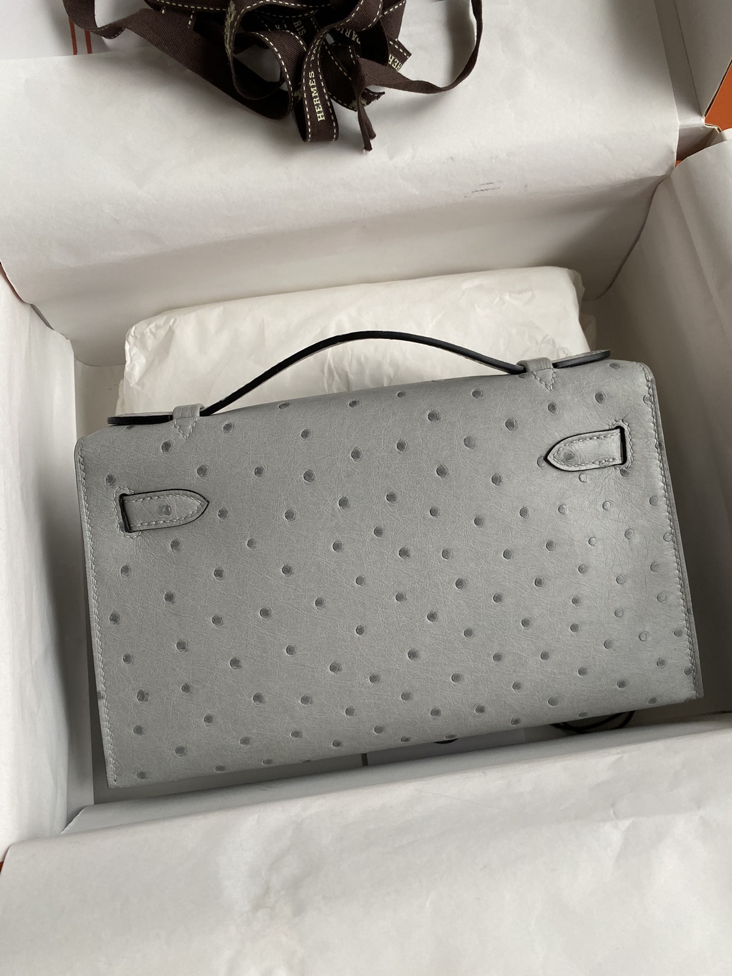 Hermes Mini Kelly Pochette 22cm Bag In Light Grey Ostrich Leather